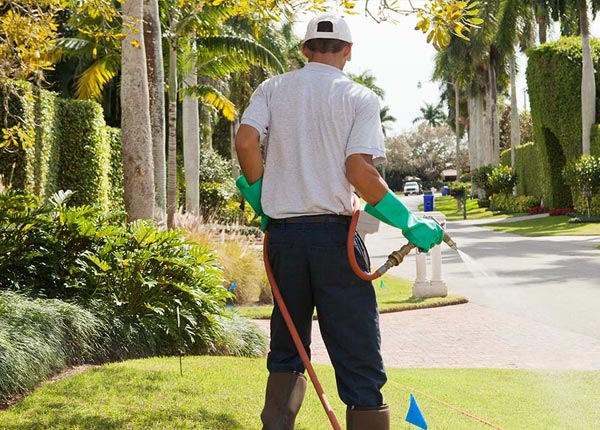 About Thornton WV Pest Control
